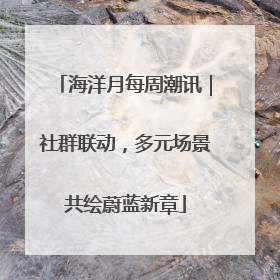 海洋月每周潮讯｜社群联动，多元场景共绘蔚蓝新章