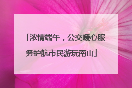 浓情端午，公交暖心服务护航市民游玩南山