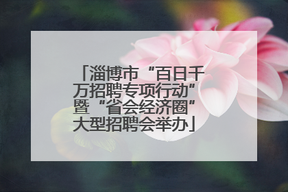 淄博市“百日千万招聘专项行动”暨“省会经济圈”大型招聘会举办