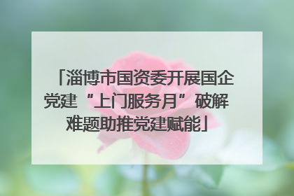 淄博市国资委开展国企党建“上门服务月”破解难题助推党建赋能