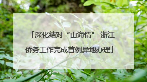 深化结对“山海情” 浙江侨务工作完成首例异地办理
