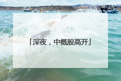 深夜，中概股高开