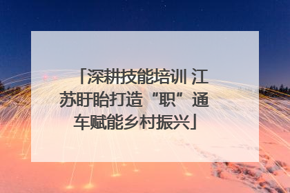 深耕技能培训 江苏盱眙打造“职”通车赋能乡村振兴