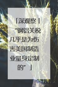 深观察丨“钢铝关税几乎是为伤害美国制造业量身定制的”