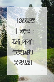 深观察丨欧盟：我们不怕与美国打关税战