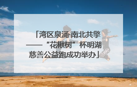 湾区泉涌·南北共擎——“花楸树”杯明湖慈善公益跑成功举办