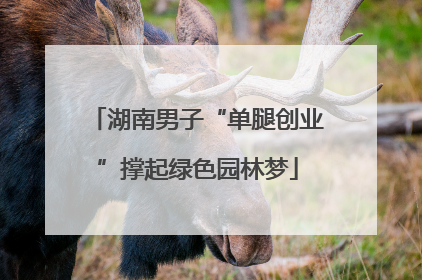 湖南男子“单腿创业”撑起绿色园林梦