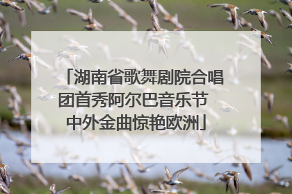湖南省歌舞剧院合唱团首秀阿尔巴音乐节 中外金曲惊艳欧洲