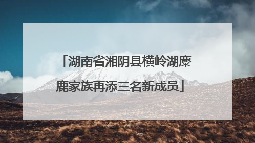 湖南省湘阴县横岭湖麋鹿家族再添三名新成员