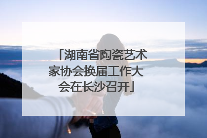 湖南省陶瓷艺术家协会换届工作大会在长沙召开