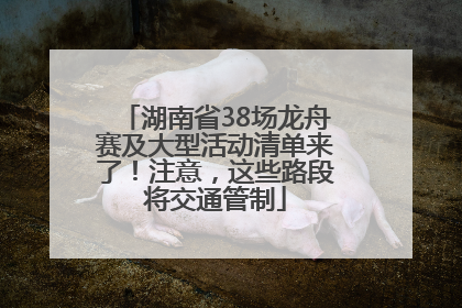 湖南省38场龙舟赛及大型活动清单来了！注意，这些路段将交通管制