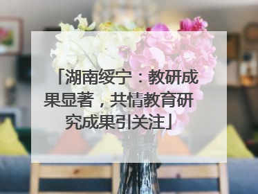 湖南绥宁：教研成果显著，共情教育研究成果引关注