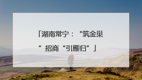 湖南常宁：“筑金巢”招商“引雁归”