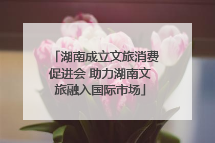 湖南成立文旅消费促进会 助力湖南文旅融入国际市场