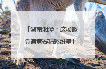 湖南湘潭：这场微党课竞赛精彩纷呈