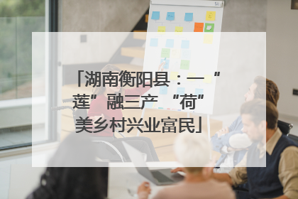 湖南衡阳县：一“莲”融三产 “荷”美乡村兴业富民