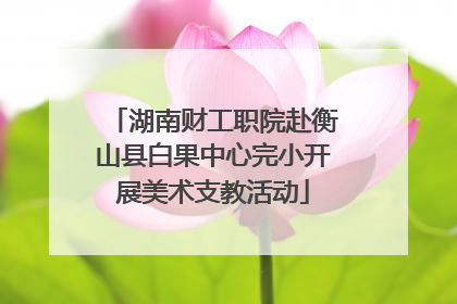 湖南财工职院赴衡山县白果中心完小开展美术支教活动