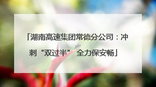 湖南高速集团常德分公司：冲刺“双过半” 全力保安畅