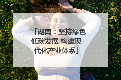 湖南：坚持绿色低碳发展 构建现代化产业体系