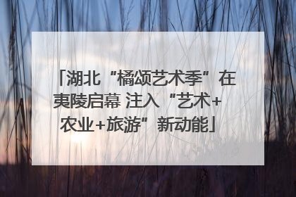 湖北“橘颂艺术季”在夷陵启幕 注入“艺术+农业+旅游”新动能