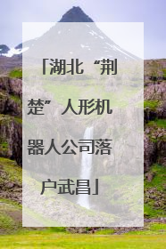 湖北“荆楚”人形机器人公司落户武昌