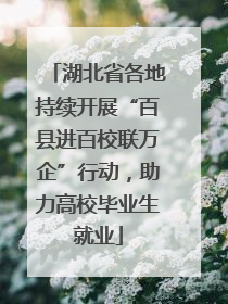 湖北省各地持续开展“百县进百校联万企”行动，助力高校毕业生就业