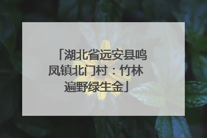 湖北省远安县鸣凤镇北门村：竹林遍野绿生金