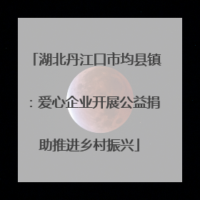 湖北丹江口市均县镇：爱心企业开展公益捐助推进乡村振兴