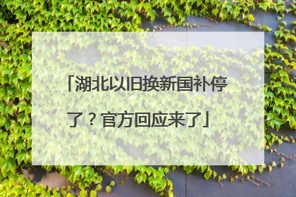 湖北以旧换新国补停了？官方回应来了