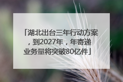 湖北出台三年行动方案，到2027年，年寄递业务量将突破80亿件