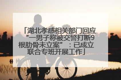 湖北孝感相关部门回应“一男子称被交警打断9根肋骨未立案”：已成立联合专班开展工作