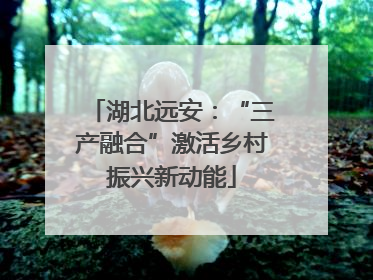 湖北远安：“三产融合”激活乡村振兴新动能