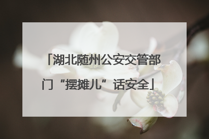 湖北随州公安交管部门“摆摊儿”话安全