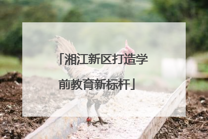 湘江新区打造学前教育新标杆