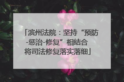 滨州法院：坚持“预防-惩治-修复”相结合 将司法修复落实落细