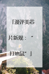 漫评美芯片新规：“打地鼠”