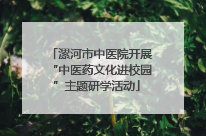 漯河市中医院开展“中医药文化进校园”主题研学活动