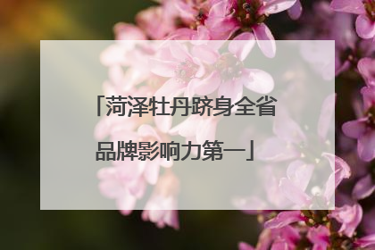 菏泽牡丹跻身全省品牌影响力第一