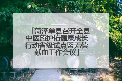 菏泽单县召开全县中医药护佑健康成长行动省级试点暨无偿献血工作会议