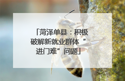 菏泽单县：积极破解新就业群体“进门难”问题