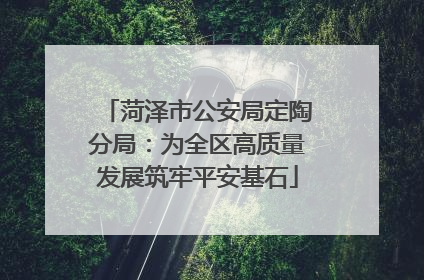 菏泽市公安局定陶分局：为全区高质量发展筑牢平安基石