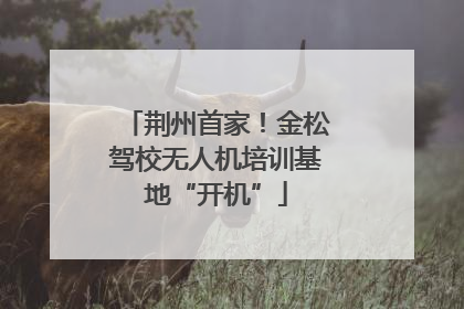 荆州首家！金松驾校无人机培训基地“开机”