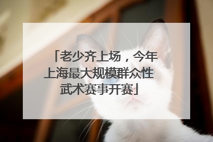 老少齐上场，今年上海最大规模群众性武术赛事开赛