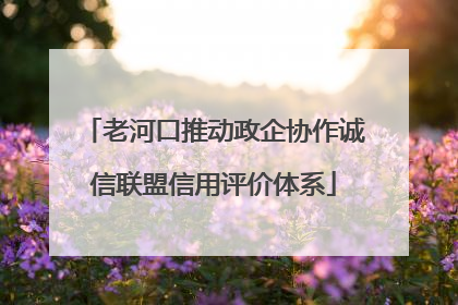 老河口推动政企协作诚信联盟信用评价体系