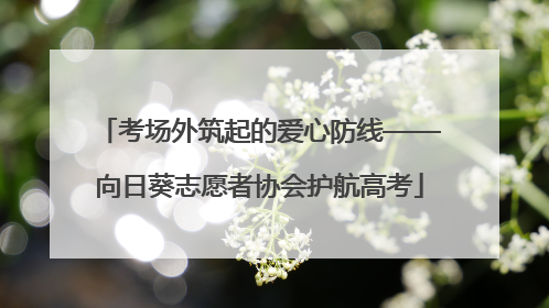考场外筑起的爱心防线——向日葵志愿者协会护航高考
