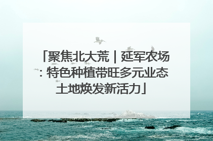 聚焦北大荒｜延军农场：特色种植带旺多元业态 土地焕发新活力