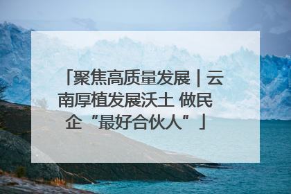聚焦高质量发展｜云南厚植发展沃土 做民企“最好合伙人”