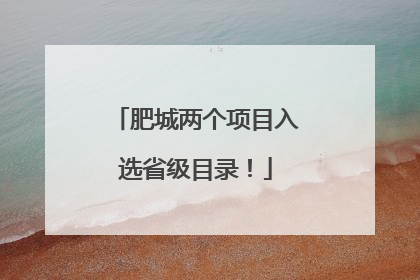 肥城两个项目入选省级目录！