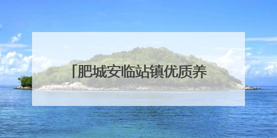 肥城安临站镇优质养老资源福祉更多老人