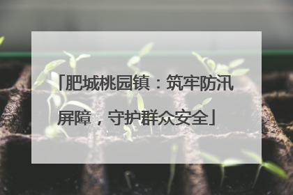 肥城桃园镇：筑牢防汛屏障，守护群众安全